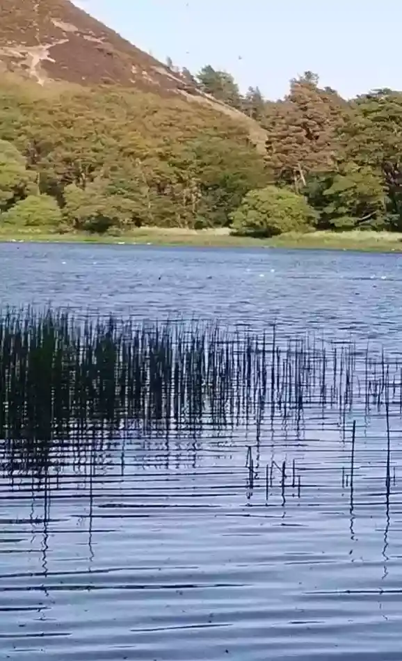 A Calm Day On Bowden Loch
